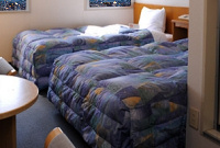 ���z�c,�x�b�h�J�o�[,���كz�e���d�l4