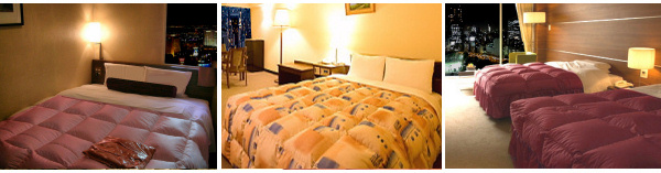 ���ق̃x�b�h�J�o�[�A�z�e���̊��c