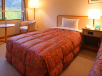 ���كz�e���H�уx�b�h�J�o�[(������{�b�N�X�^�C�v)