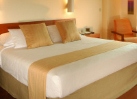 �ꗬ�z�e���̃x�b�h�p�N�b�V���� �~���^(�~���`)�N�b�V���� �L�����f�B�N�b�V���� �{���X�^�[ �N�b�V�����J�o�[