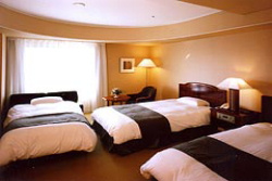 �z�e���̃G�L�X�g���x�b�h(�܏�ݎ�)