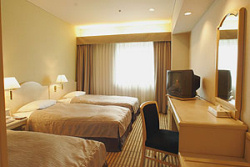 �z�e���̃G�L�X�g���x�b�h(�܂��ݎ�)