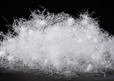 �H��(�z���C�g�_�b�N�_�E�� �X���[���t�F�U�[)