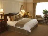 �z�e�� �x�b�h �{���l���R�C���X�v�����O�x�b�h �z�e���q������