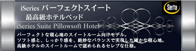 iSeries �X�C�[�g�s���[�\�t�g �T�[�^