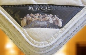 iSeries �X�C�[�g�s���[�\�t�g �T�[�^