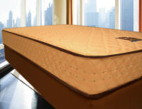 �|�P�b�g�R�C���W���^�C�v