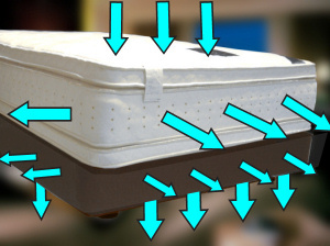 �T�[�^�X�C�[�g�s���[�\�t�g