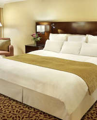 �X�J�[�g(�{�g���J�o�[)����ʐ^3