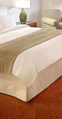 �X�J�[�g(�{�g���J�o�[)����ʐ^6