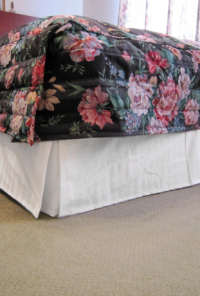 �X�J�[�g(�{�g���J�o�[)����ʐ^4