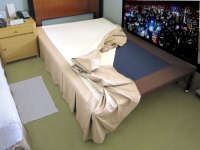 �z�e���̃X�J�[�g(�{�g���J�o�[)�̃��C�N���@