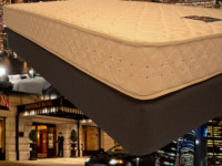 �|�P�b�g�W���^�C�v