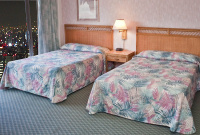 �X�v���b�h �X�^�C���̃J�o�[ �z�e���̃X�v���b�h