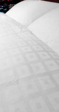 �f���x�@�f���x�J�o�[�@�z�e���d�l�̃x�b�h�J�o�[