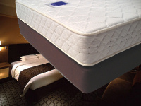 �z�e�� �x�b�h �{���l���R�C���X�v�����O�x�b�h