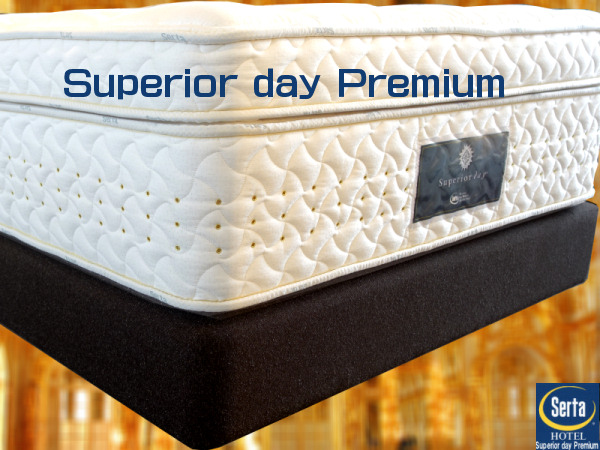 �T�[�^�@�X�[�y���A�f�C