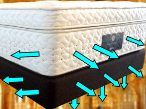 �T�[�^ �X�[�y���A�f�C