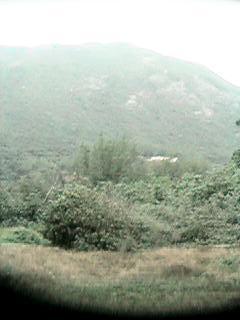 �e�C�N�I�t