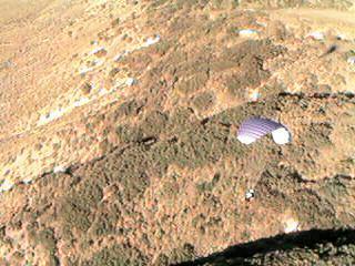 �L�q�A�����J����