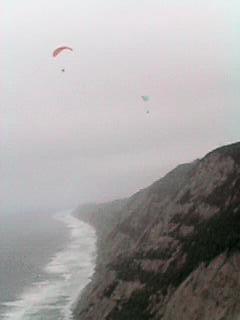 �T���t�����V�X�R�Ń\�A�����O