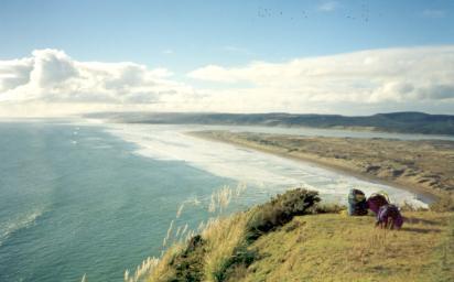 �|�[�g���C�J�g�e�C�N�I�t�@�����Ɍ�����̂̓��C�J�g��