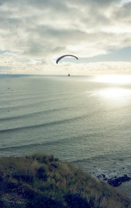 �|�[�g���C�J�g���猩��^�Y�}���C