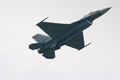 F-2A