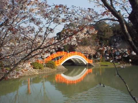 �_�������̍�