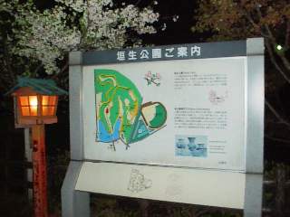 �_�������̖��