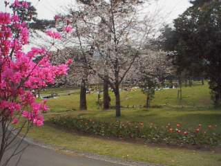 �ʕ{�����̉�