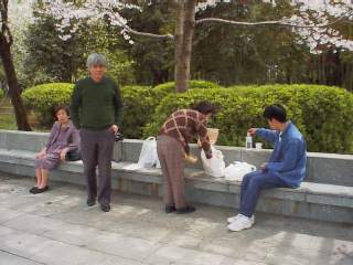 �ʕ{�����ł̉Ԍ�