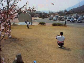 �ʕ{�p�T�[�r�X�G���A�ɂ�