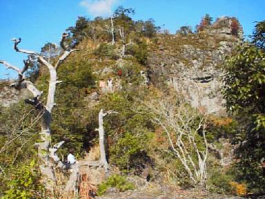 ���������炷�����������Ƃ���