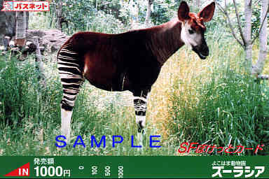 �I�J�s�@�P�C�O�O�O�~��