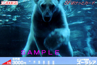 �z�b�L���N�F�@�R�C�O�O�O��