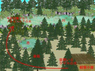 むー太が放野された場所