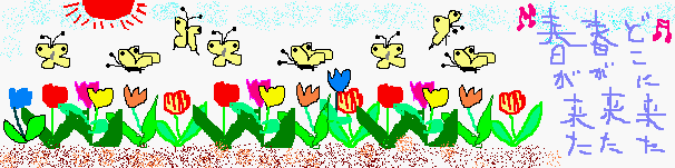 チューリップと蝶：都会では蝶も少なくなりました