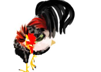 鶏