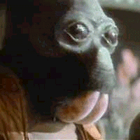 Ponda Baba