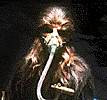Chewbacca