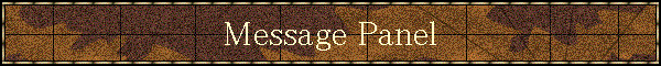 Message Panel