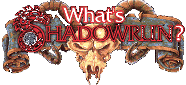 What's Shadowrun?