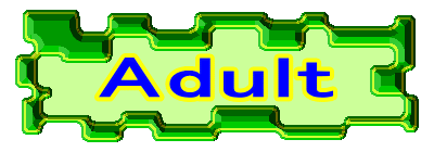 Adult 