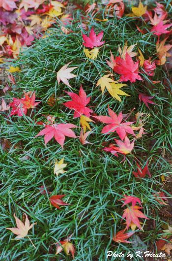 0404-34.jpg (62690 oCg)