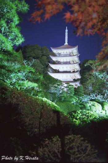 1701-09.jpg (36163 oCg)