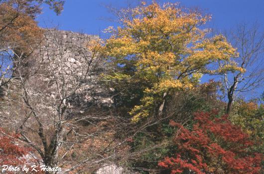 1780-06.jpg (53241 oCg)