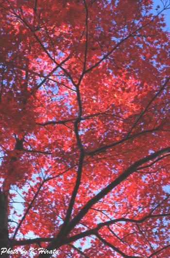 1780-31.jpg (54746 oCg)