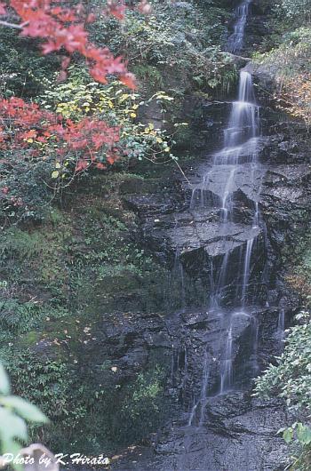 3194-12.jpg (59845 oCg)