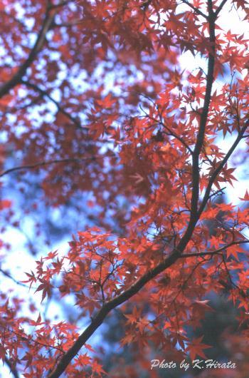 4819-10.jpg (47863 oCg)